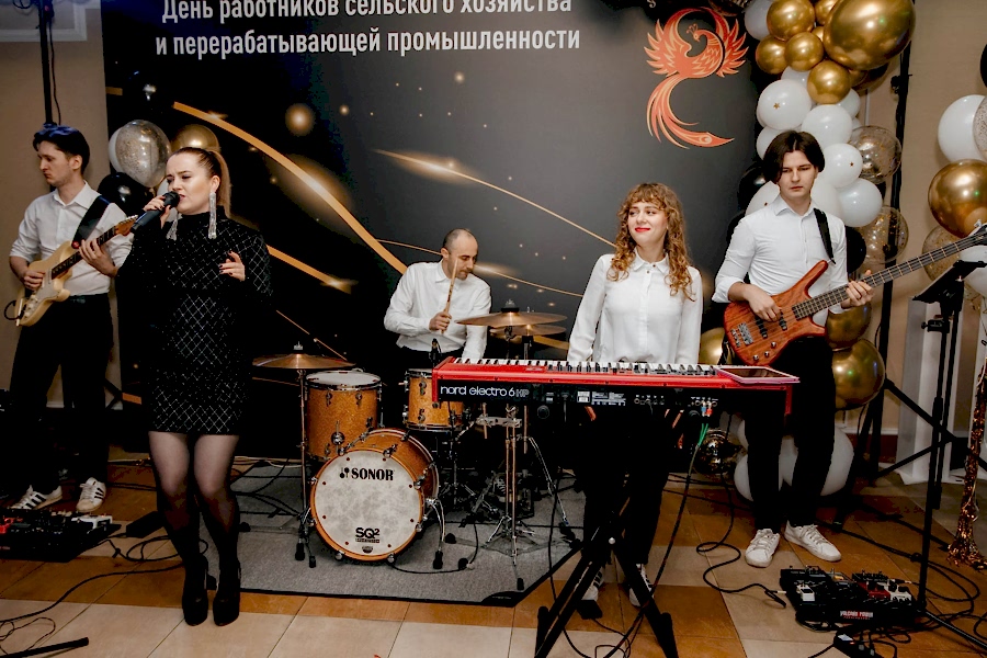 кавер-бэнд на профессиональный праздник